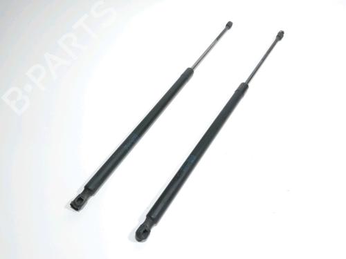 Used Tailgate lift support VW CADDY III MPV (2KB, 2KJ, 2CB, 2CJ) 1.9 TDI (105 hp) 28261133