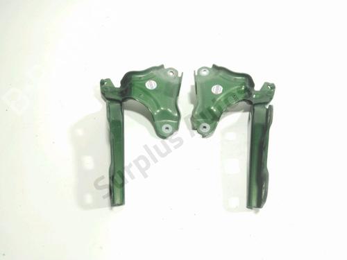 hingedoor-check-strap-peugeot-308-iii-fb_-fh_-fp_-f3_-fm_-2021-31845930 main image