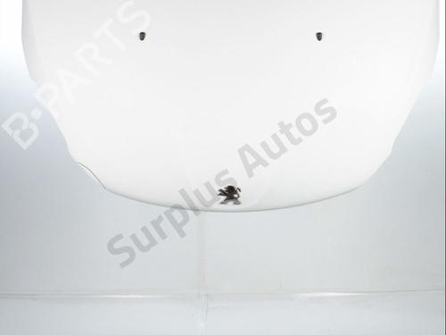Used Hood Hood PEUGEOT 208 I (CA_, CC_) 1.6 VTi (120 hp) 34616686 34616686