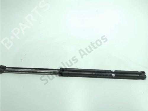 tailgate-lift-support-ford-c-max-ii-dxacb7-dxaceu-2010-2011-2012-2013-2014-2015-2016-2017-2018-2019-33281520 main image
