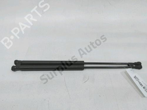 Tailgate lift support PEUGEOT 207 (WA_, WC_) 1.4 HDi | BP31001989C138