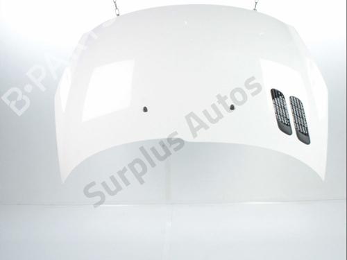 Used Hood PEUGEOT 206+ (2L_, 2M_) 1.4 HDi eco 70 (68 hp) 28237363