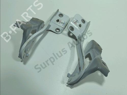 Used Hinge/Door check strap Hinge/Door check strap RENAULT CLIO V (B7_) 1.0 SCe 65 (B7MG) (67 hp) 36519162 36519162