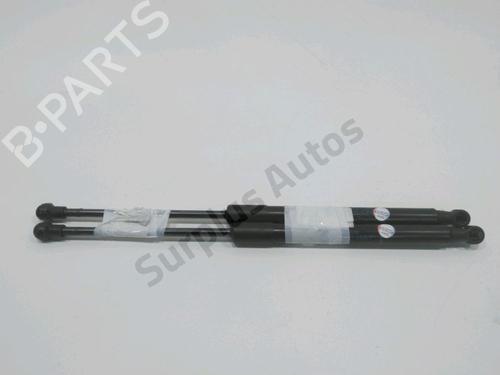 tailgate-lift-support-renault-twingo-ii-cn0_-2007-32461017 main image