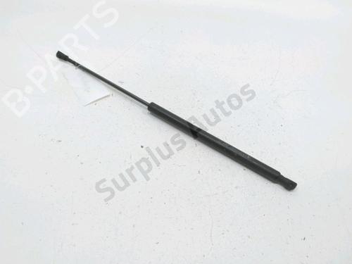 Used Hood lift support CITROËN C5 II Break (RE_) 1.6 HDi (RE9HZC, RE9HYB) (109 hp) 30993784
