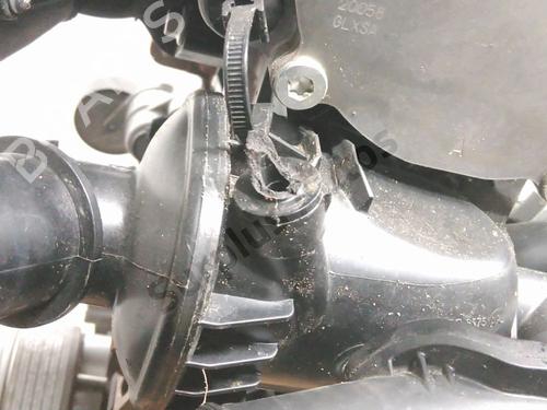 Engine FORD FIESTA VII (HJ, HF) 1.0 EcoBoost mHEV | BP37761741M1 - Image 7