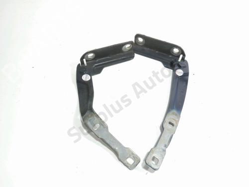 hingedoor-check-strap-dacia-sandero-ii-2012-32976073 main image