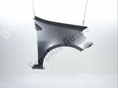 Used Right front fenders RENAULT CLIO III (BR0/1, CR0/1) 1.2 16V (BR02, BR0J, BR11, CR02, CR0J, CR11) (75 hp) 30190953