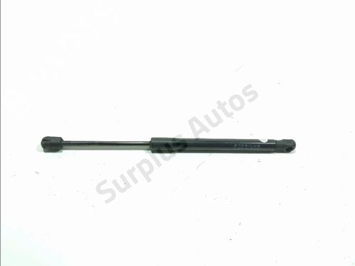 hood-lift-support-tesla-model-3-5yj3-2017-36519165 main image