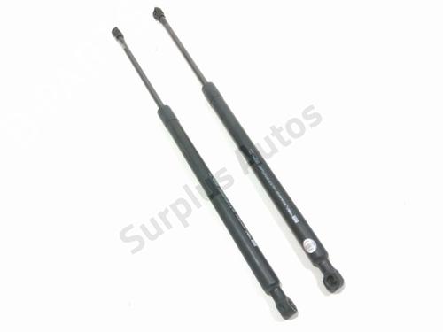 Used Tailgate lift support RENAULT SCÉNIC III (JZ0/1_) 1.6 dCi (JZ00, JZ12) (130 hp) 30191069
