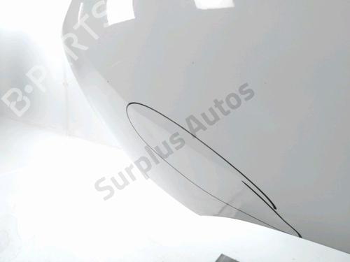 Left front fenders PEUGEOT 206 Hatchback (2A/C) 1.4 HDi eco 70 | BP28236261C41 