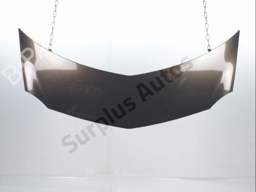 hood-renault-modus-grand-modus-fjp0_-2004-40620896 main image