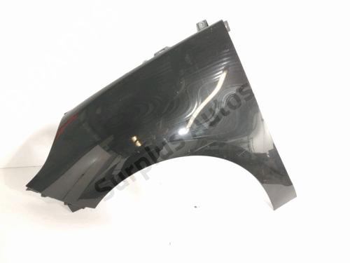 Used Left front fenders RENAULT SCÉNIC III (JZ0/1_) 1.9 dCi (JZ0J, JZ1J, JZ1K, JZ1S) (131 hp) 30993349