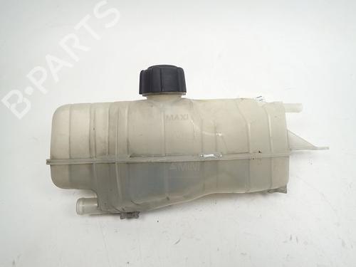 Ekpansionstank NISSAN MICRA III (K12) [2002-2011]  30986379