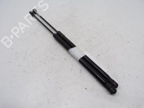 tailgate-lift-support-vw-polo-v-6r1-6c1-2009-2010-2011-2012-2013-2014-2015-2016-2017-2018-2019-2020-2021-2022-31001781 main image