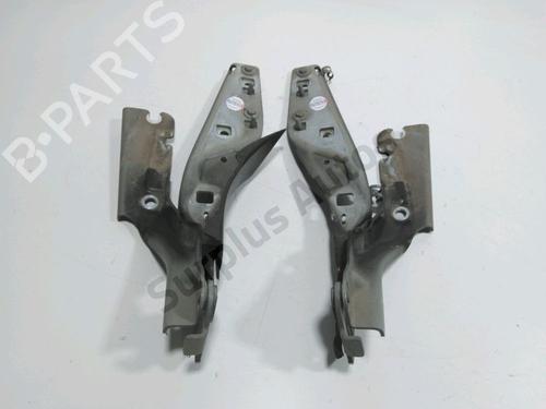 hingedoor-check-strap-peugeot-407-coupe-6c_-2005-35808205 main image