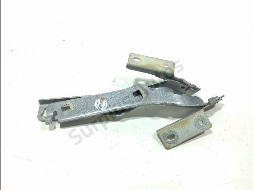 hingedoor-check-strap-citroen-berlingo-multispace-b9-2008-40464729 main image