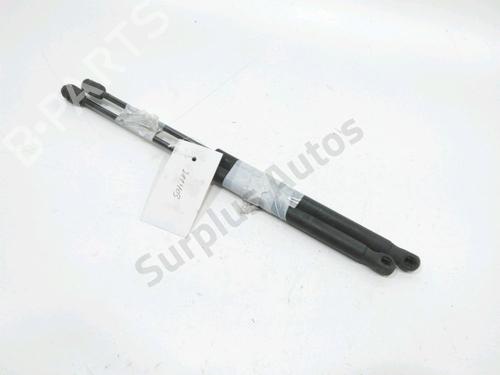 Used Tailgate lift support RENAULT MEGANE II (BM0/1_, CM0/1_) 1.5 dCi (BM1F, CM1F) (86 hp) 31001933