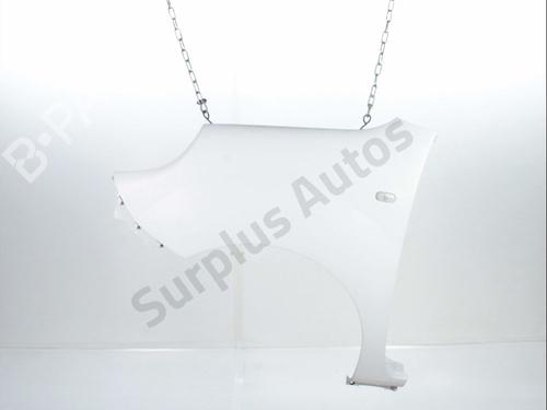 Used Left front fenders RENAULT KANGOO Express (FW0/1_) 1.5 dCi 75 (FW07, FW10, FW04) (75 hp) 29347459