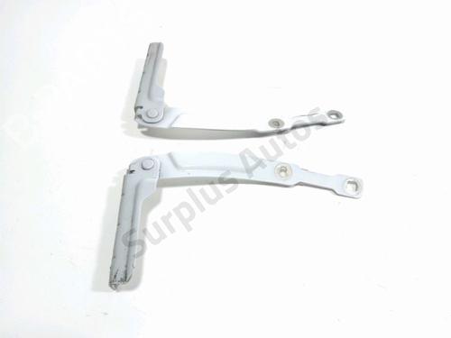 Hinge/Door check strap DACIA SANDERO II 1.2 | BP30918817C146 - Image 2