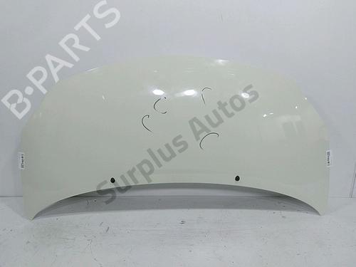 hood-renault-twingo-ii-cn0_-2007-40059769 main image