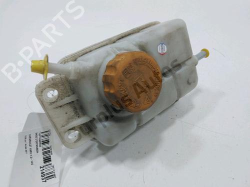 Used Expansion tank CHEVROLET AVEO / KALOS Hatchback (T250, T255) 1.2 (84 hp) 30986437