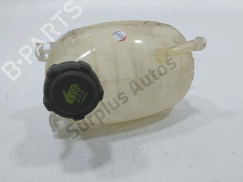 Used Expansion tank RENAULT CLIO V (B7_) 1.5 Blue dCi 85 (B7AG) (86 hp) 30986516
