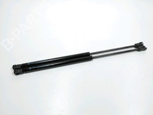 Used Tailgate lift support CITROËN C4 II (NC_) 1.6 HDi 90 (92 hp) 29859466