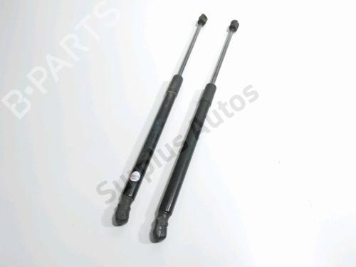 Used Tailgate lift support RENAULT CLIO III Grandtour (KR0/1_) 1.5 dCi (KR0F) (86 hp) 30269427