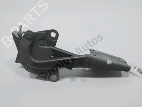 hingedoor-check-strap-renault-megane-iii-hatchback-bz01_-b3_-2008-30993758 main image