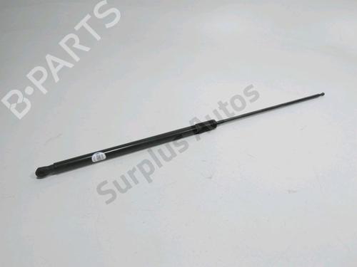 Used Hood lift support Hood lift support DS DS 4 II (FR_, FB_, F3_, FP_) BlueHDi 130 (FBYHZT) (130 hp) 34389864 34389864