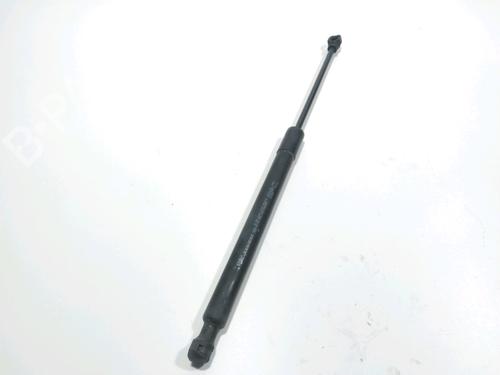 Used Hood lift support DACIA LODGY (JS_) 1.5 dCi (JSMC, JSAF) (107 hp) 28237768