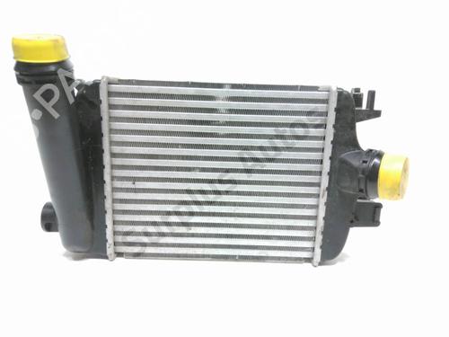 Intercooler RENAULT CAPTUR II (HF_) TCe 130 (HFMF) (131 hp) 30085888