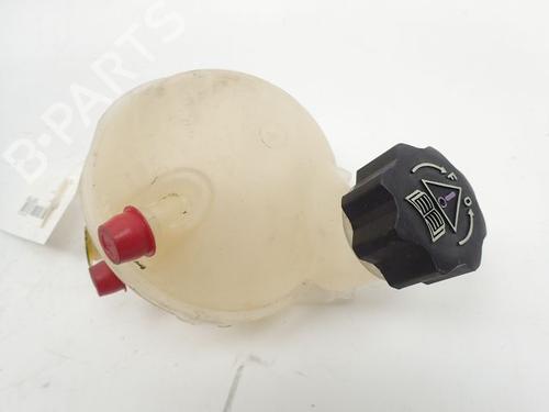 Expansion tank PEUGEOT 307 CC (3B) 2.0 HDi 135 | BP30986385C120