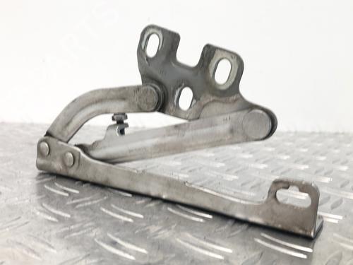 Hinge/Door check strap OPEL CORSA D (S07) 1.2 (L08, L68) | BP29036529C146 