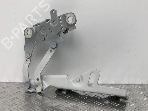 Hinge/Door check strap BMW 1 (F20) 116 d | BP29037241C146 
