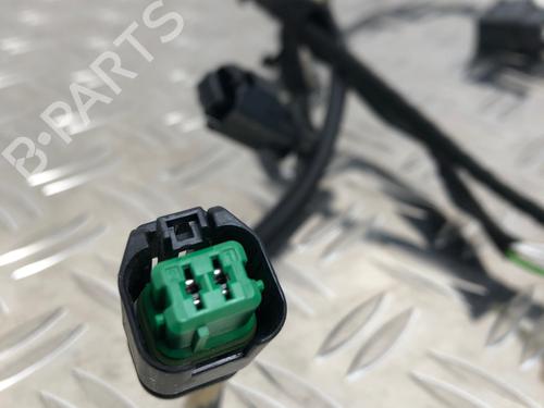 Cablaggio PEUGEOT 3008 I MPV (0U_) 1.6 HDi | BP30940017E16