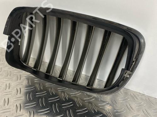 Grill BMW X5 (E70) 3.0 si | BP29037059C40  - Image 6