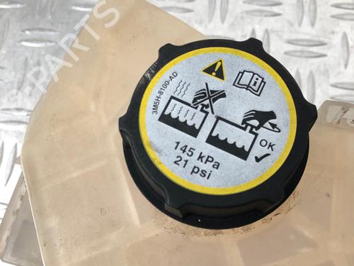 Expansion tank FORD FIESTA VI (CB1, CCN) 1.25 | BP29033103C120 