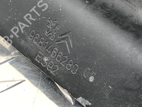 Hinge/Door check strap CITROËN BERLINGO MULTISPACE (B9) 1.6 HDi 75 / BlueHDi 75 | BP31611927C146 