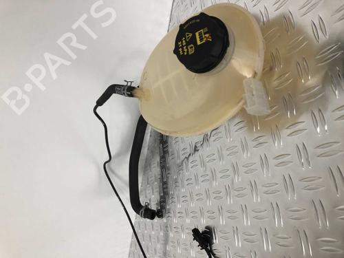 Used Expansion tank FORD FIESTA VII (HJ, HF) 1.1 Ti-VCT (86 hp) 29032967