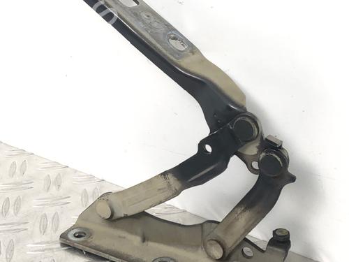 Hinge/Door check strap VW GOLF V Variant (1K5) 1.4 TSI | BP29036081C146 