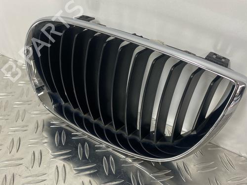 Grille BMW 1 (E87) 116 i | BP29032874C40 