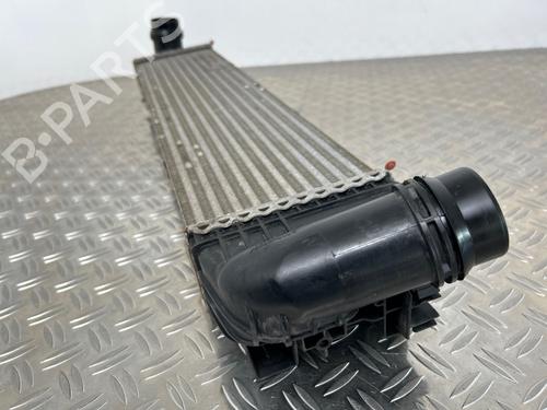 Intercooler RENAULT TRAFIC III Van (FG_) 1.6 dCi 115 (FGMD) | BP36667270M30 - Image 4