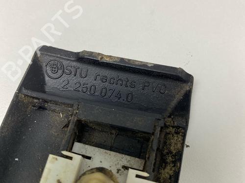 Door moulding trim BMW 3 (E36) 320 i | BP29036740C150 