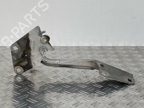 Hinge/Door check strap RENAULT MEGANE III Grandtour (KZ0/1) 1.5 dCi (KZ1M, KZ1W, KZ0R) | BP29036897C146 