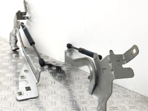 Hinge/Door check strap RENAULT SCÉNIC III (JZ0/1_) 1.2 TCe | BP29035394C146 
