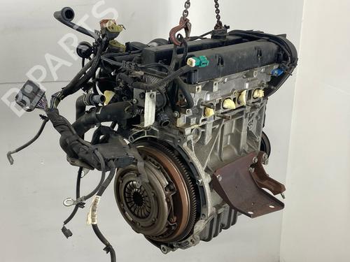 Motor FORD FIESTA VI (CB1, CCN) 1.25 (82 hp) 29030644
