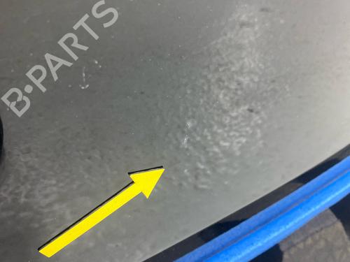 Tailgate HYUNDAI i10 I (PA) 1.1 | BP29035870C6 
