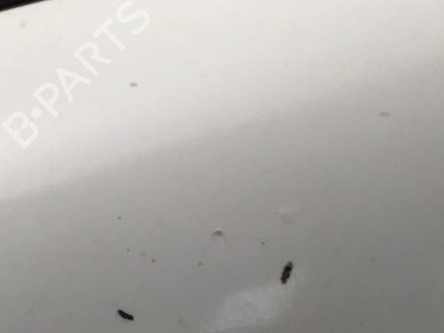 Right mirror OPEL COMBO Box Body/MPV 1.7 DTI 16V | BP29221239C27 